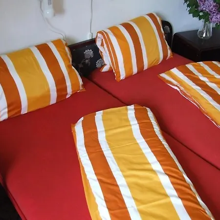 Aranyhidszallo 3*
